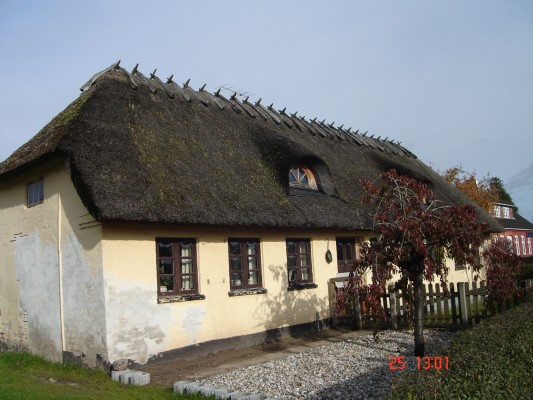 HAARBY - 25,10-01.11.2010 098.jpg