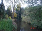 HAARBY - 25,10-01.11.2010 333.jpg