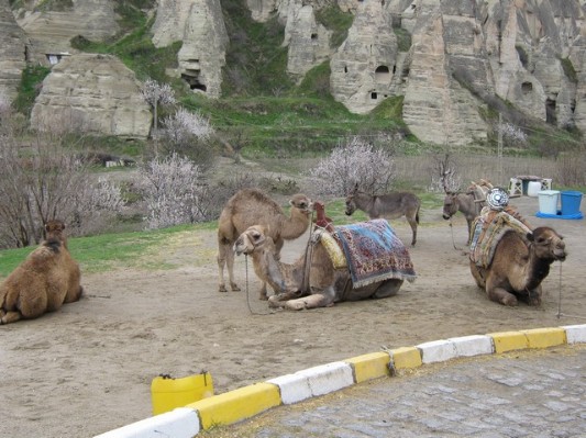 ANKARA TURCJA, KWIECIEŃ 2011 287.jpg